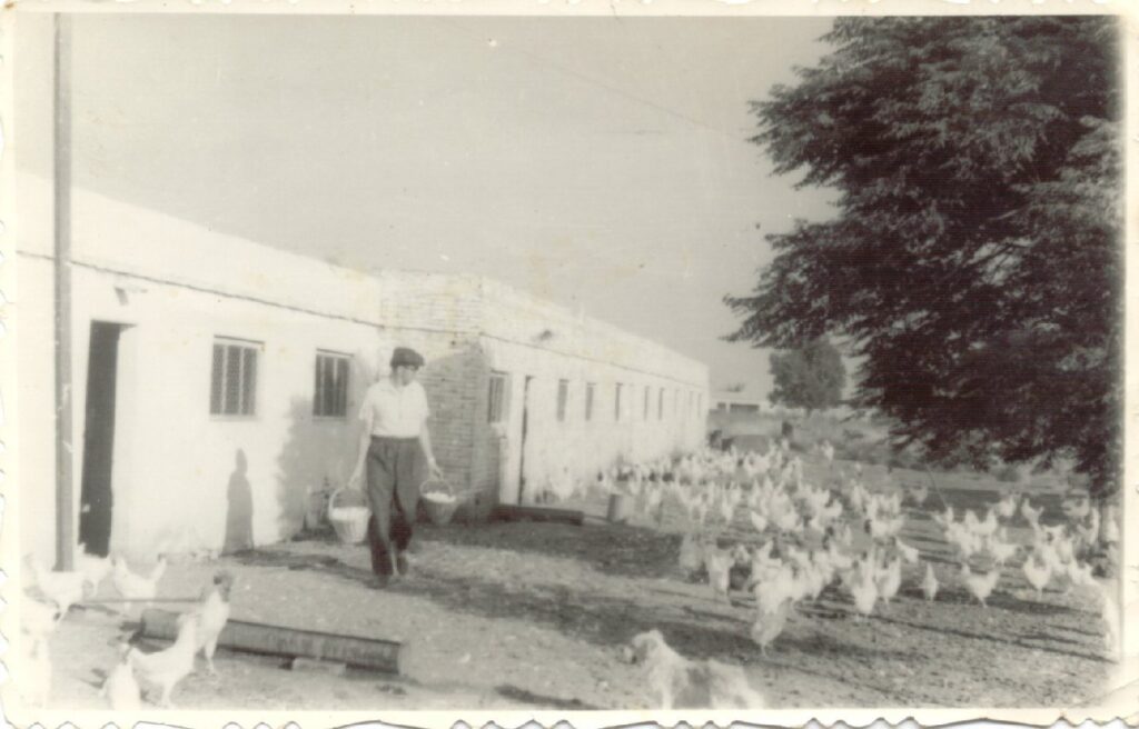 Año 1962, en Macia, recolectando huevos